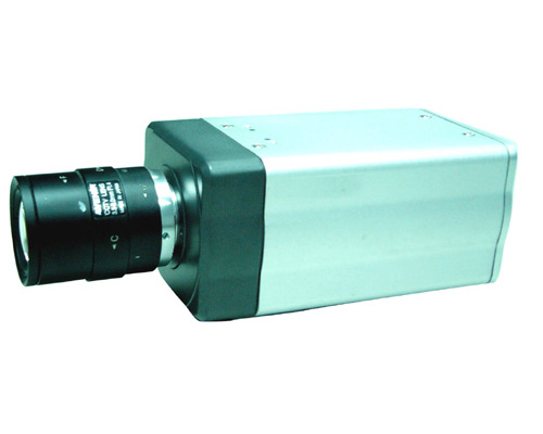 ��·��������